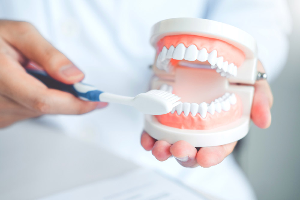 Dentist learning how to brush teeth